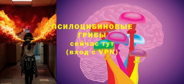 шишки Абинск