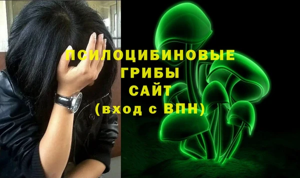 шишки Абинск