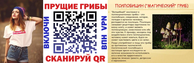 Псилоцибиновые грибы GOLDEN TEACHER  omg как войти  Белая Калитва 